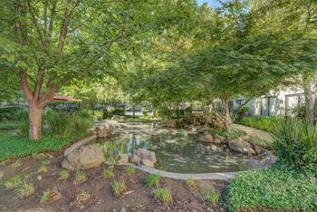 Pond area with seating